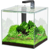 Aquatlantis Kubus 22 L LED Aquarienset