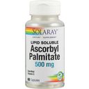 Solaray Ascorbyl-Palmitat - 60 Kapseln