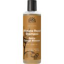 Spicy Orange Blossom Ultimate Repair Shampoo, 250 ml