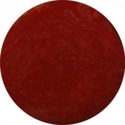 Provida Organics Living Nails COLOR Bio-Nagellack - 06 Dark Rouge