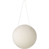 Avril Konjac Sponge