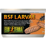 Exo Terra Soldatenfliegen Larven