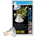 Exo Terra Sun Glo Halogen - 35 W