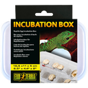Exo Terra Inkubations-Box - 1 Stk