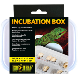 Exo Terra Inkubations-Box - 1 Stk