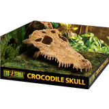 Exo Terra Crocodile Kopf