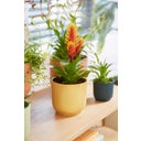 elho vibes fold rund 16 cm