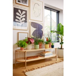 elho vibes fold rund 16 cm
