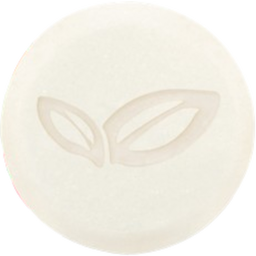 alviana Naturkosmetik Festes Shampoo Bio-Apfel & Bio-Aloe Vera - 60 g