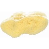 Koutouzis Natural Sea Sponges Naturschwamm "Silk"