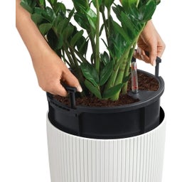 Lechuza Pflanzgefäß CILINDRO Color 23