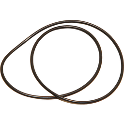 JBL Artemio O-Ring - 1 Stk