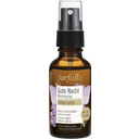 Schlaf Schön Gute Nacht Kissenspray, 30 ml