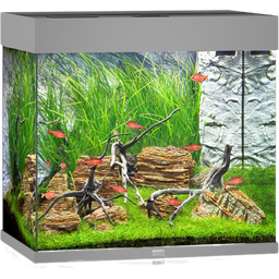 Juwel Lido 120 LED  Aquarium - grau