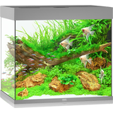 Juwel Lido 200 LED Aquarium