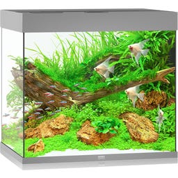 Juwel Lido 200 LED Aquarium - grau
