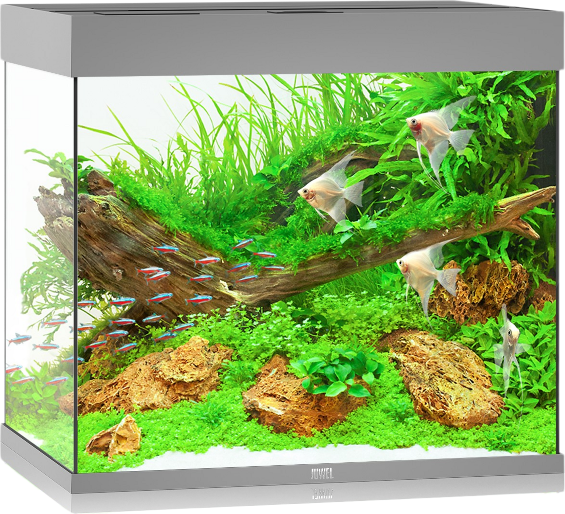 Juwel Lido 200 LED Aquarium - grau