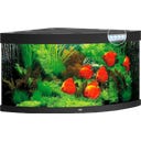 Juwel Trigon 350 LED Aquarium - schwarz