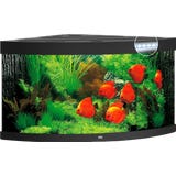 Juwel Trigon 350 LED Aquarium