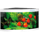 Trigon 350 LED Aquarium, weiß