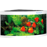 Juwel Trigon 350 LED Aquarium