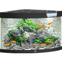 Trigon 190 LED Aquarium, schwarz