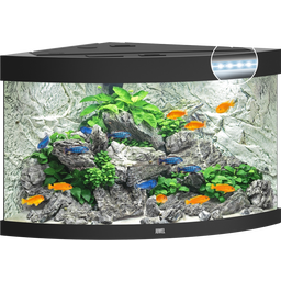 Juwel Trigon 190 LED Aquarium - schwarz