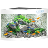 Juwel Trigon 190 LED Aquarium