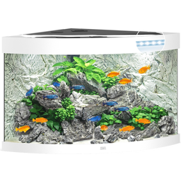 Juwel Trigon 190 LED Aquarium - weiß