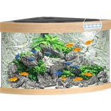 Juwel Trigon 190 LED Aquarium