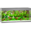 Juwel Rio 240 LED Aquarium - grau