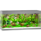 Juwel Rio 240 LED Aquarium