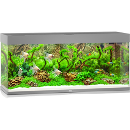Juwel Rio 240 LED Aquarium - grau