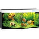 Juwel Vision 260 LED Aquarium - weiß