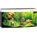 Juwel Vision 260 LED Aquarium