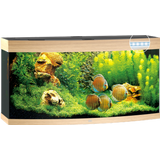 Juwel Vision 260 LED Aquarium