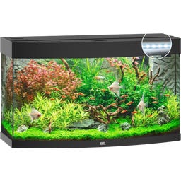 Juwel Vision 180 LED Aquarium - schwarz