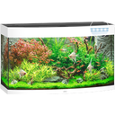 Juwel Vision 180 LED Aquarium - weiß
