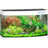 Juwel Vision 180 LED Aquarium
