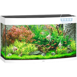 Juwel Vision 180 LED Aquarium - weiß