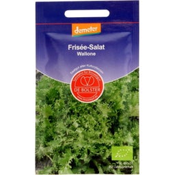 De Bolster Frisée-Salat 