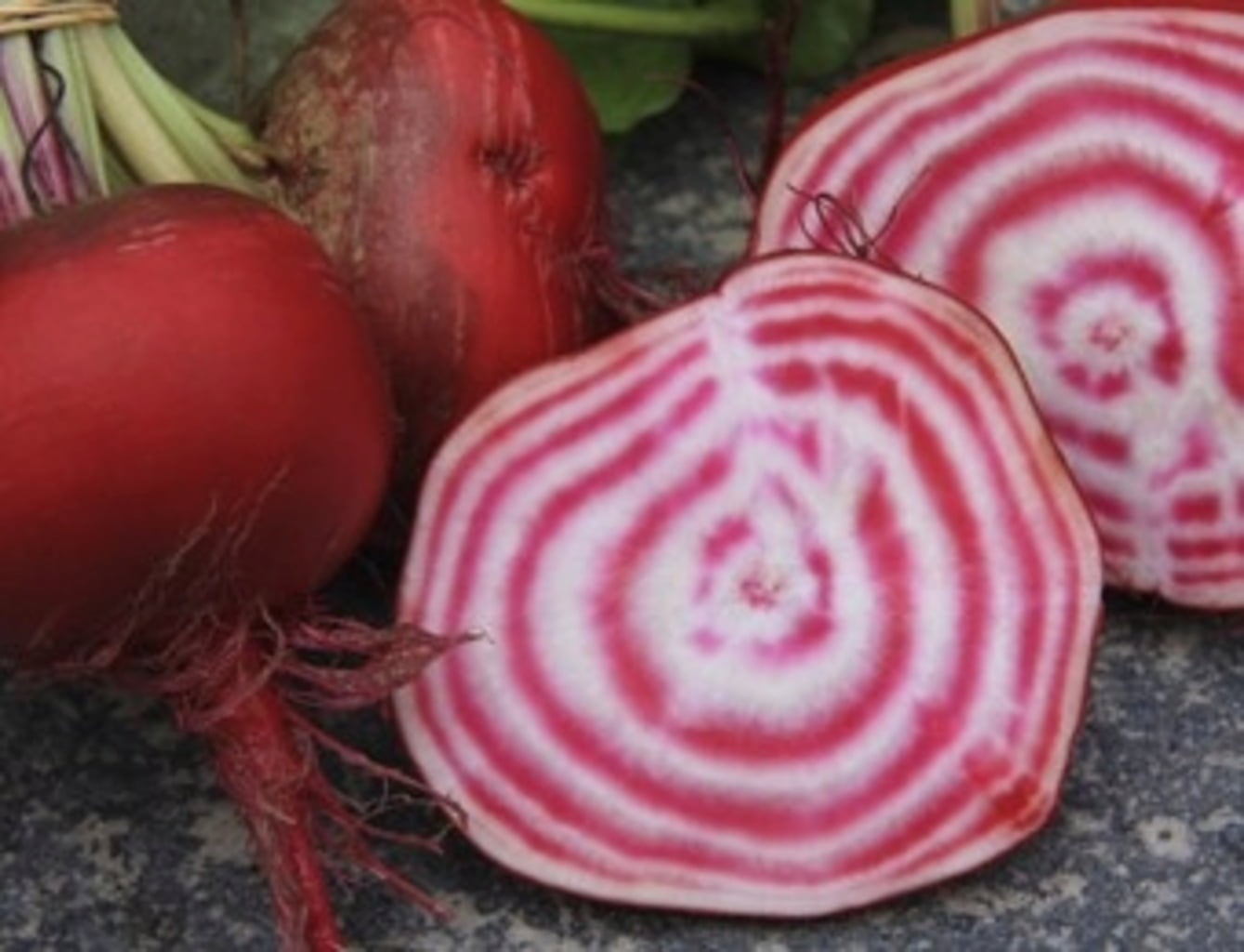 De Bolster Rote Bete 