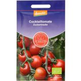 De Bolster Rote Cocktailtomate "Zuckertraube"