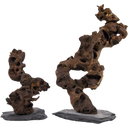 Kongo Baum auf Schiefer, M