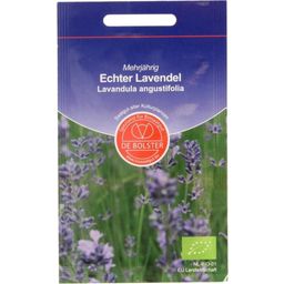 Echter Lavendel - 1 g