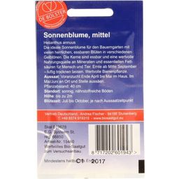 De Bolster Gelbe, mittelhohe Sonnenblume - 2 g