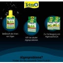 Tetra Algizit - 10 Stk