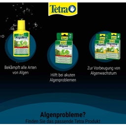 Tetra Algizit - 10 Stk