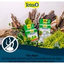 Tetra Algizit - 10 Stk