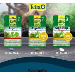 Tetra Algizit - 10 Stk